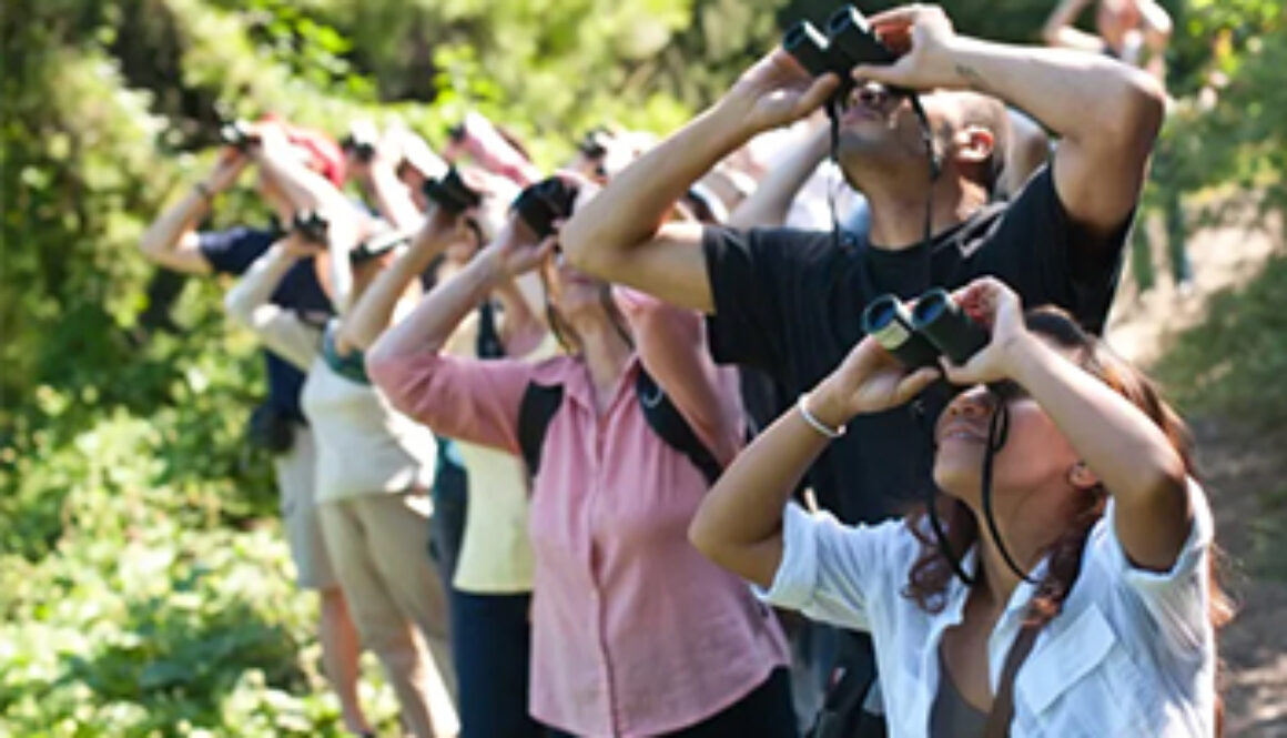 group of people looking up through binoculars