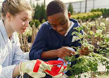 two gardeners working with plants