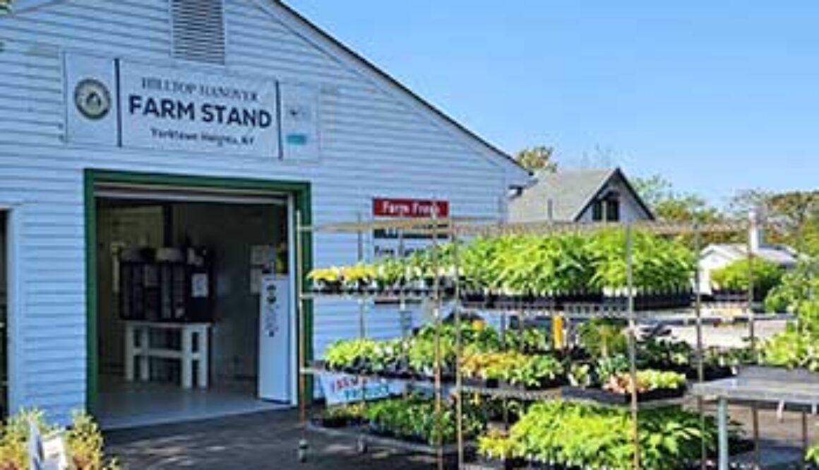 Farm stand with vegetables on shelves