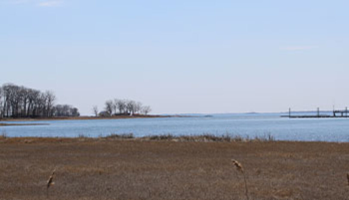 scenic of sound from marshlands