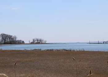 scenic of sound from marshlands