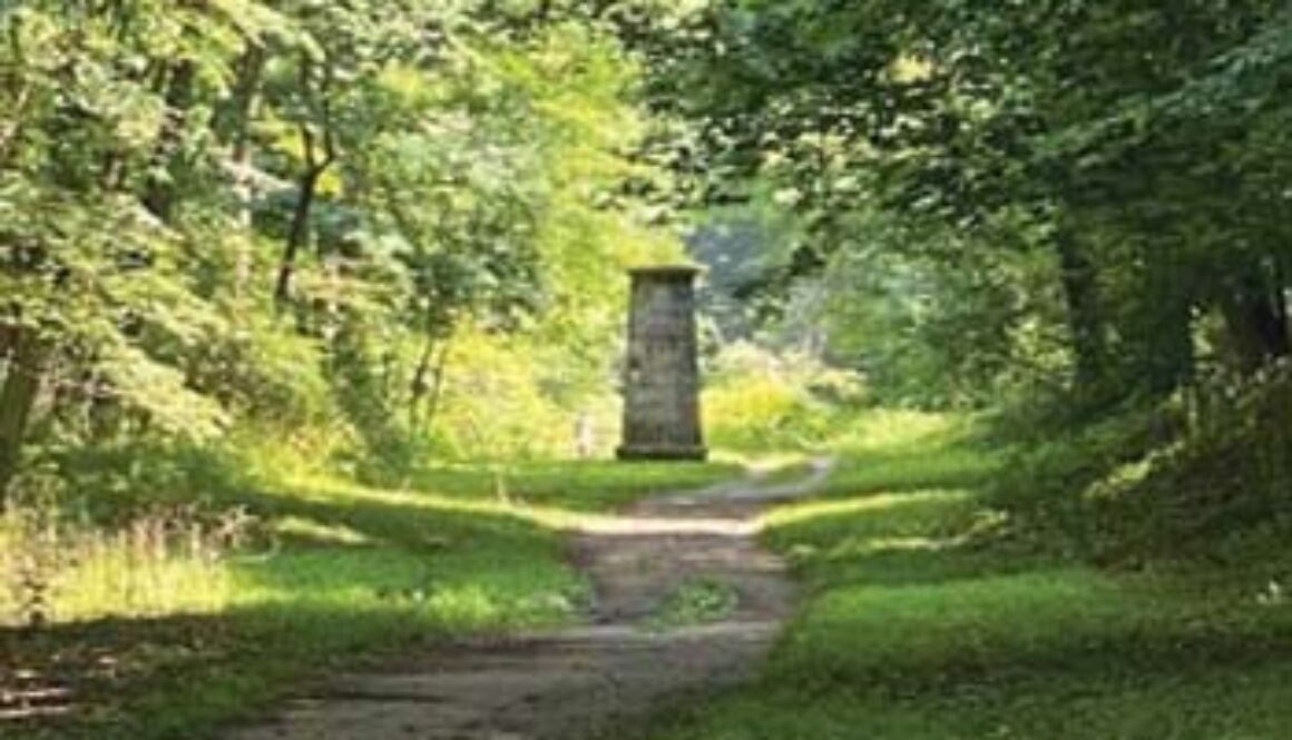 dirt path in woods leading to sculpture