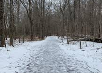 hiking trail covered in snow