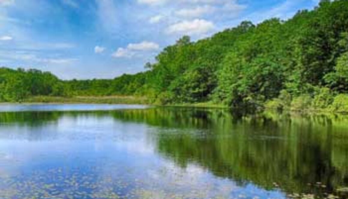 scenic view of cranberry lake from the shore looking to water
