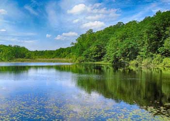 scenic view of cranberry lake from the shore looking to water