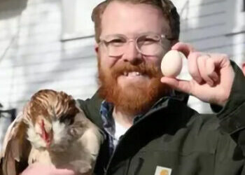 Man holiding chicken and egg