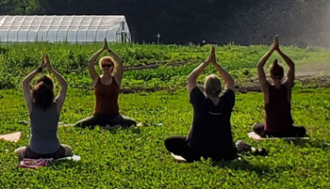 group of women in yoga position on grass