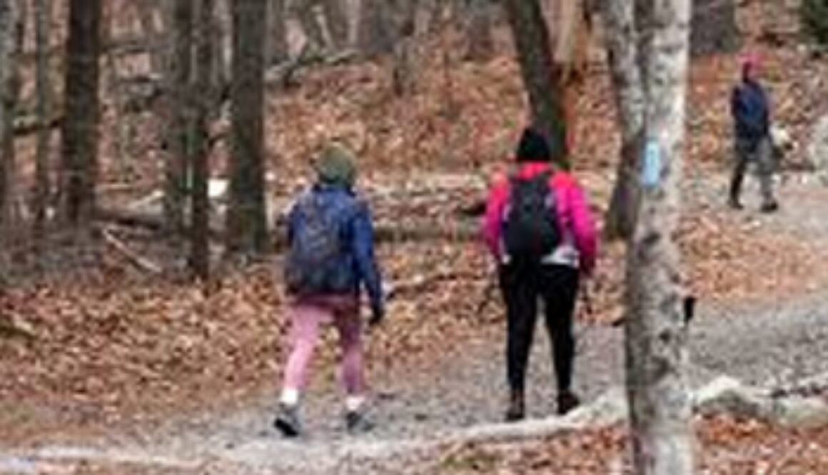 hikers walking on path in winter