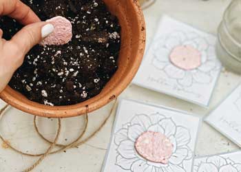 showing how seed paper is made