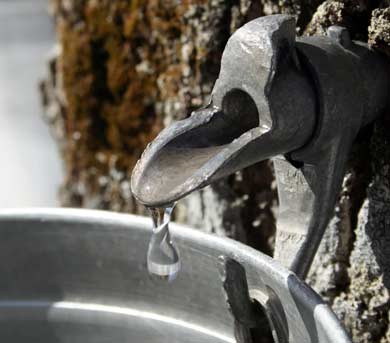 close up of spiel dripping into bucket